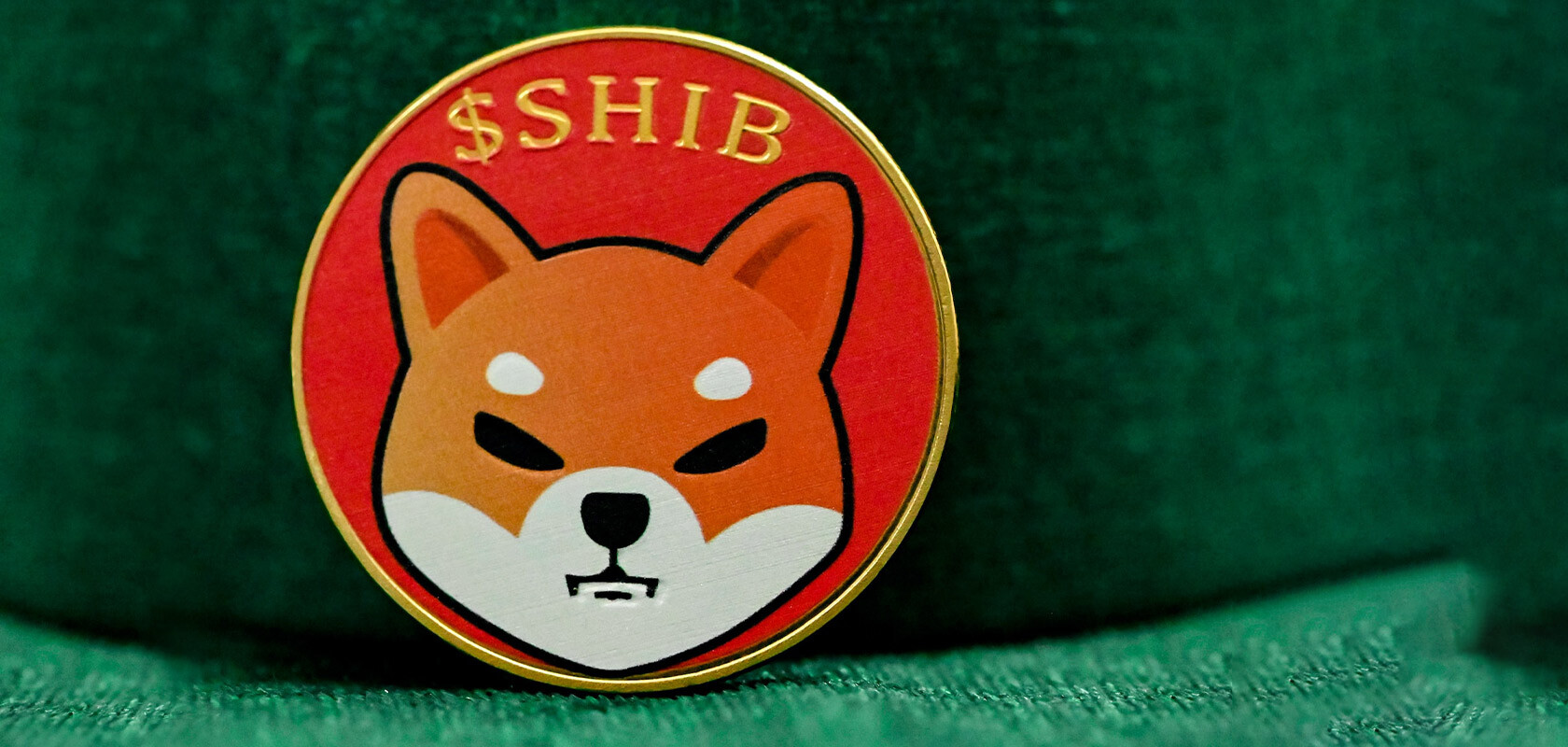   SHIBA INU SHIB  