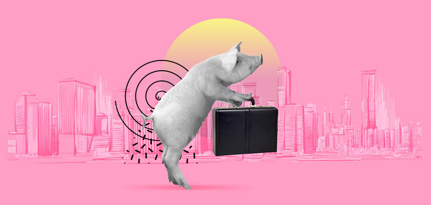 Свинарник по канадской технологии разведения свиней (на 250 голов)